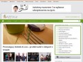 Podgląd gazeta.ie
