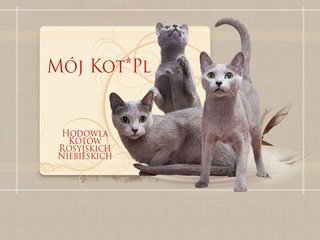 Podgląd mojkot.vanti.eu