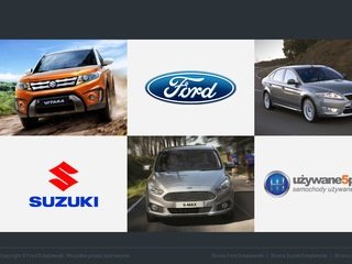 Podgląd golebiewski.com.pl
