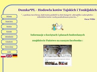 Podgląd koty_rasowe.republika.pl