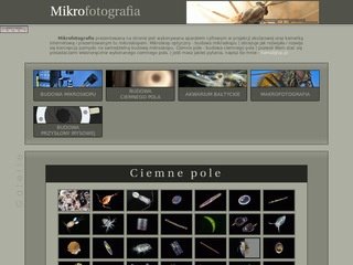 Podgląd mikrofotografia.republika.pl