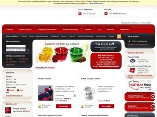 Podgląd bigboystoys.pl