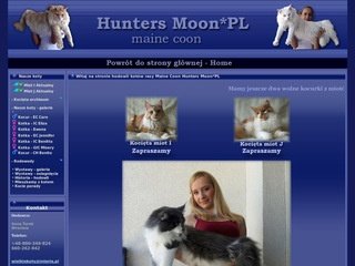 Podgląd huntersmoon.wroclaw.pl