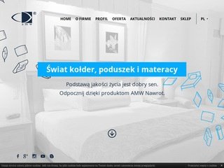 Podgląd amw.pl