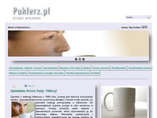 Podgląd puklerz.pl