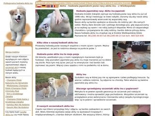 Podgląd akita.inus.pl