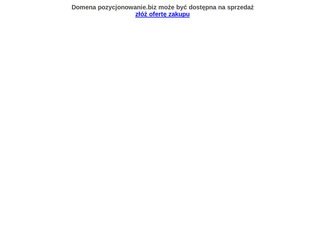 Miniaturka pozycjonowanie.biz