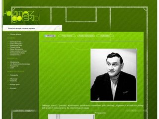 Podgląd kazimierzgorski.pl
