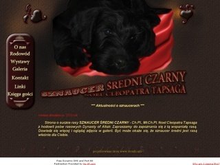 Podgląd sznaucer.no-ip.info