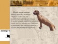Podgląd kitukosimba.com