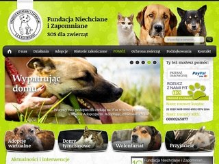 Podgląd niechcianeizapomniane.org