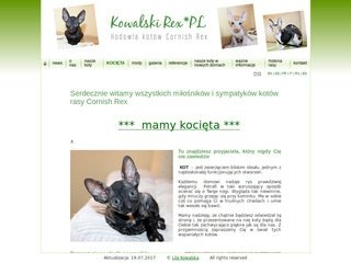 Podgląd koty-rex.crsnet.pl