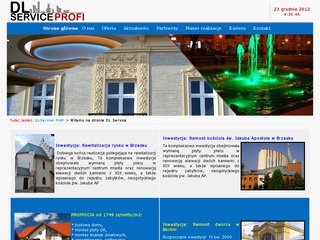 Podgląd dlservice.eu