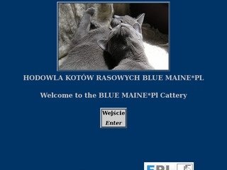 Podgląd bluemaine.vip.interia.pl