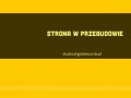 Podgląd goldrecords.pl