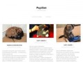 Podgląd pupilion.pl