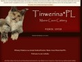 Podgląd tinwerina.pl