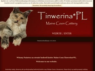 Miniaturka tinwerina.pl