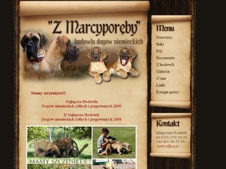Podgląd zmarcy.to.pl