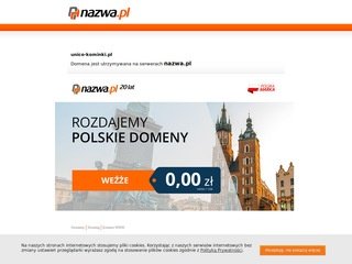Podgląd unico-kominki.pl