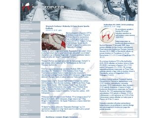 Podgląd skocznia.com