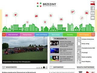 Podgląd brzeziny.pl