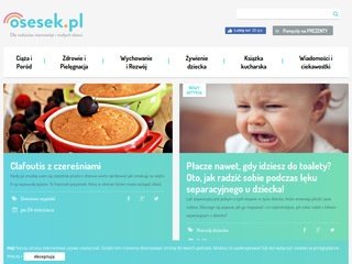 Podgląd osesek.pl