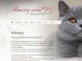 Podgląd aisha.pl