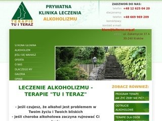 Podgląd alkoholizm.org.pl