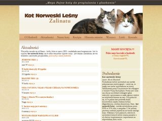 Podgląd zalinatu.pl