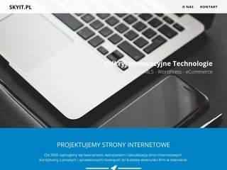 Podgląd skyit.pl