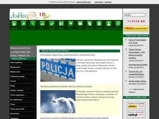Podgląd dublin24.net