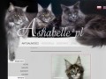 Podgląd ashabelle.pl
