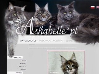 Podgląd ashabelle.pl