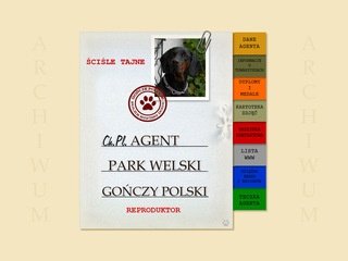 Podgląd gonczypolski-agent.vanti.eu
