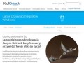 Podgląd easyrecovery.pl