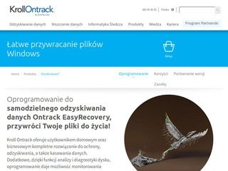 Podgląd easyrecovery.pl