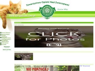 Miniaturka toz.gorzow.com.pl