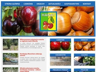 Podgląd hanat.pl