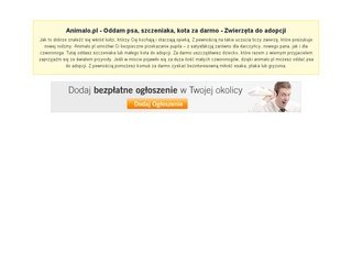 Podgląd animalo.pl