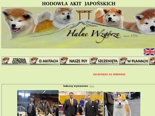 Miniaturka akita-halne.pl