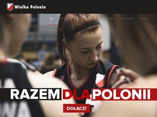 Podgląd wielkapolonia.pl