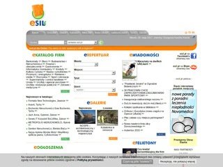 Podgląd esil.pl