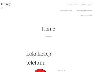 Podgląd efrenzy.pl