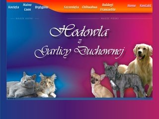 Podgląd psy-koty.pl