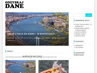 Podgląd odzyskaj-dane.pl