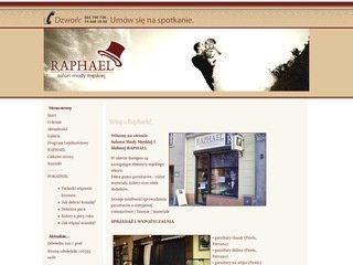 Miniaturka raphael.swidnica.pl
