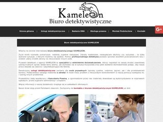 Podgląd detektywi.szczecin.pl