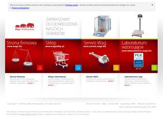 Podgląd wagi.biz