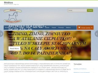Podgląd mobiusarchitekci.pl